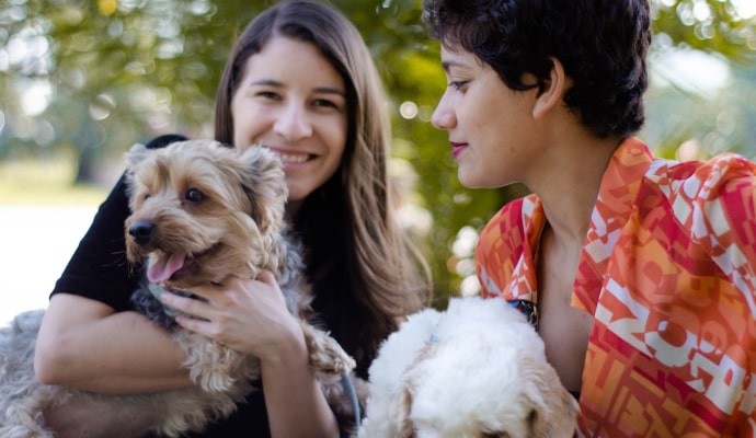 pt about us 2 opt Granule.