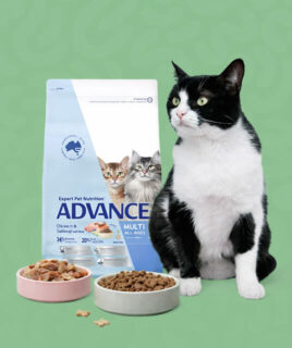 hrana za macke granule