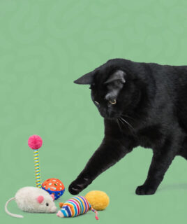 igracke za macke granule