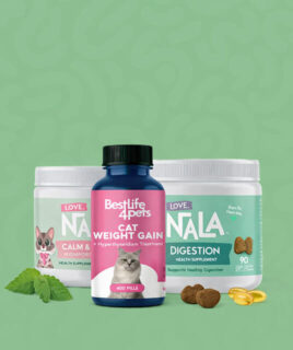 zdravlje macke granule