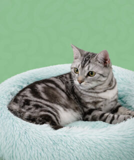 oprema za macke granule