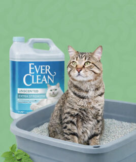 posip za macke granule