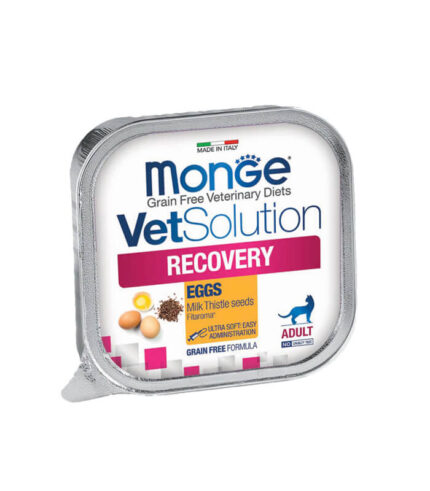 MONGE VetSolution Recovery Feline - dijetetska vlažna hrana za mačke za nutritivnu obnovu i oporavak (100g)