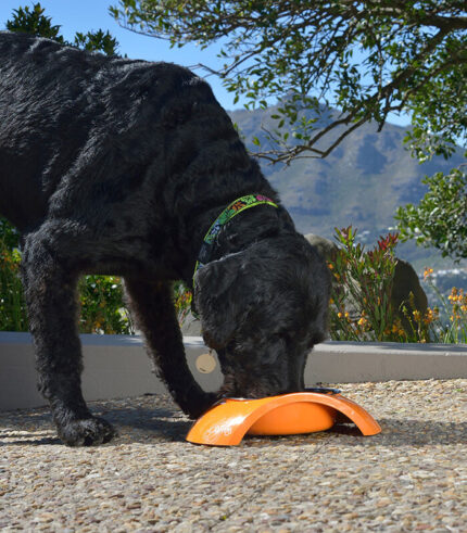ROGZ Melamine Bowl Large - činija za pse sa inox posudom - narandzasta