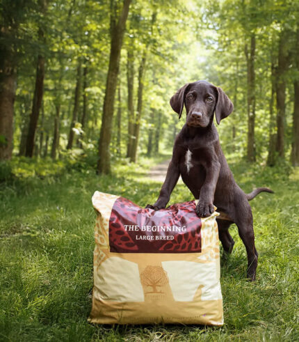 ESSENTIAL FOODS Beginning Large Breed - grain free granule za štence velikih rasa