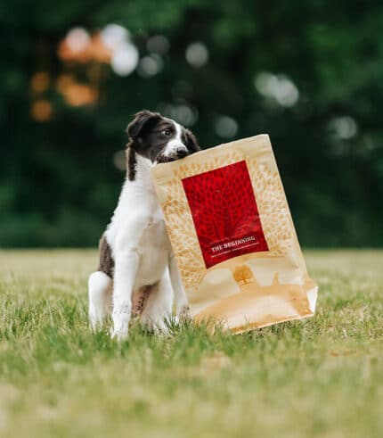 ESSENTIAL FOODS Beginning Small Breed - grain free granule za štence malih rasa