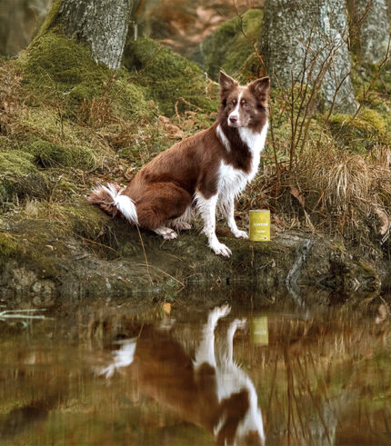 ESSENTIAL FOODS Contour Pâté - pašteta za pse sa pačetinom i piletinom