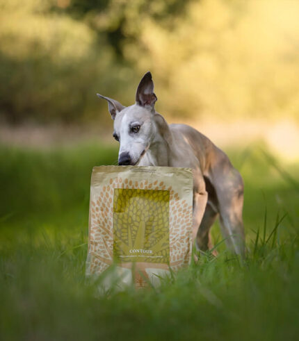 ESSENTIAL FOODS Contour Small Breed - grain free granule za sterilisane pse i pse sklone gojenju malih rasa