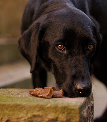 ESSENTIAL FOODS Duck Sensations - poslastice za pse sa 90% pačetine (200g)