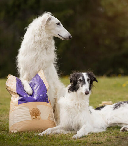 ESSENTIAL FOODS Estate Living Large Breed - grain free granule za odrasle pse velikih rasa (10kg)