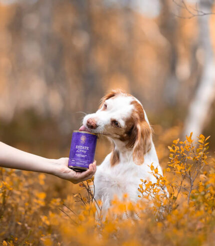 ESSENTIAL FOODS Estate Living Pâté - pašteta za pse sa jagnjetinom i ćuretinom