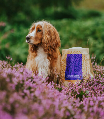 ESSENTIAL FOODS Estate Living Small Breed - grain free granule za odrasle pse malih rasa