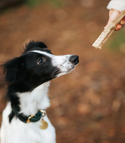 ESSENTIAL FOODS Grain-Free Beef & Rabbit Dental Delights - dental poslastice za pse