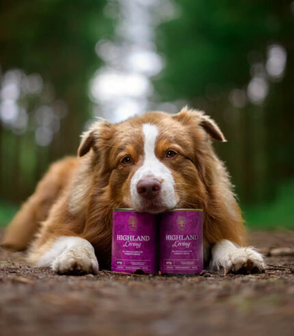 ESSENTIAL FOODS Highland Living Pâté - pašteta za pse sa ćuretinom i pačetinom