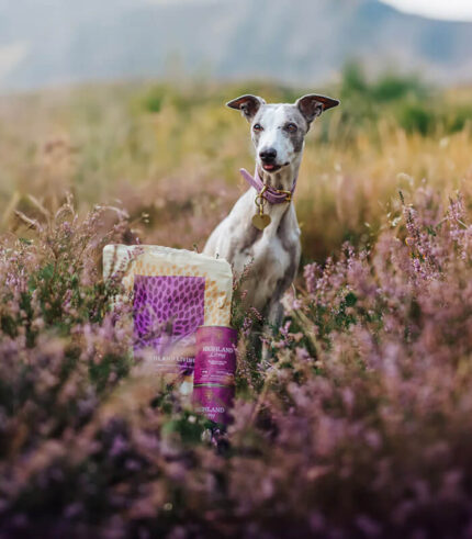 ESSENTIAL FOODS Highland Living Small Breed - grain free granule za odrasle pse malih rasa