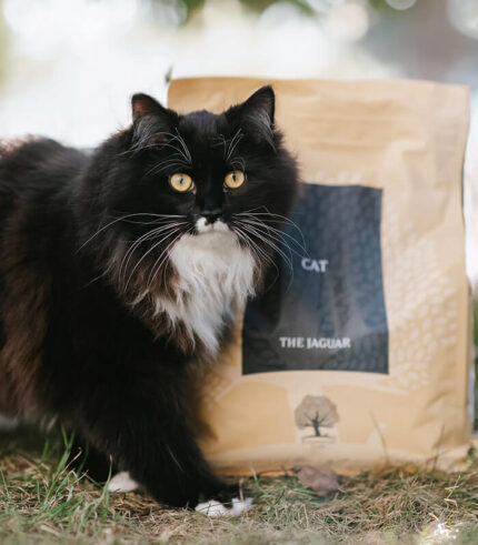 ESSENTIAL FOODS Jaguar - grain free granule za odrasle mačke