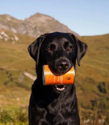 ESSENTIAL FOODS Kingdom Living Pâté - pašteta za pse sa mesom divlje svinje