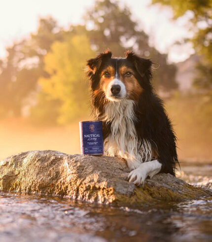 ESSENTIAL FOODS Nautical Living Pâté - pašteta za pse sa lososom i bakalarom