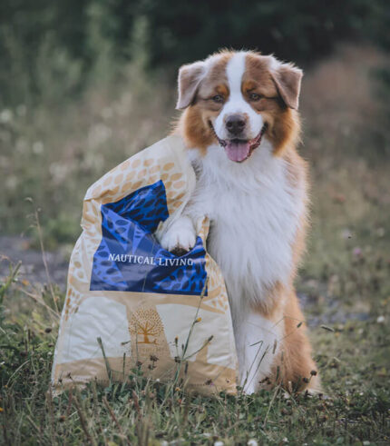 ESSENTIAL FOODS Nautical Living Small Breed – grain free granule za odrasle pse malih rasa