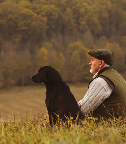 ESSENTIAL FOODS Older Large Breed - grain free granule za starije pse velikih rasa