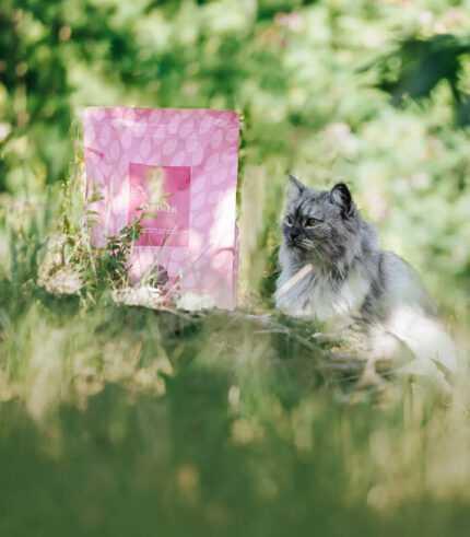 ESSENTIAL FOODS Panther - grain free granule za sterilisane mačke, indoor mačke i starije mačke