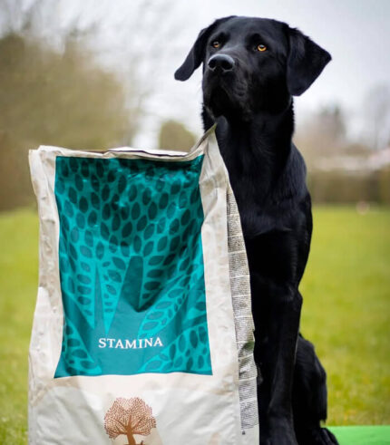 ESSENTIAL FOODS Stamina Large Breed - grain free granule za aktivne odrasle pse velikih rasa