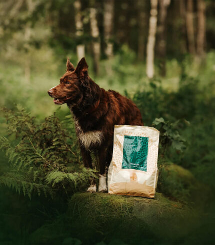 ESSENTIAL FOODS Stamina Small Breed - grain free granule za aktivne odrasle pse malih rasa