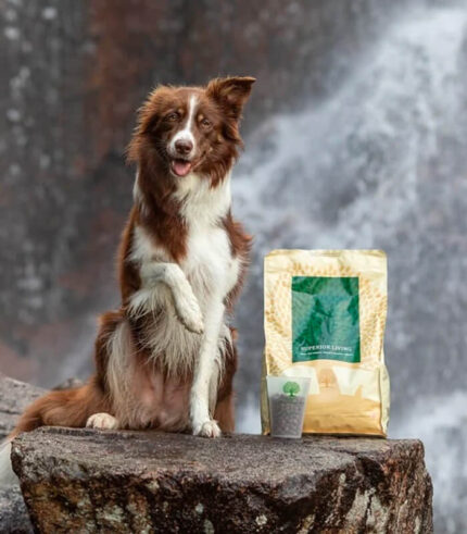 ESSENTIAL FOODS Superior Living Large Breed - grain free granule za odrasle pse velikih rasa (10kg)