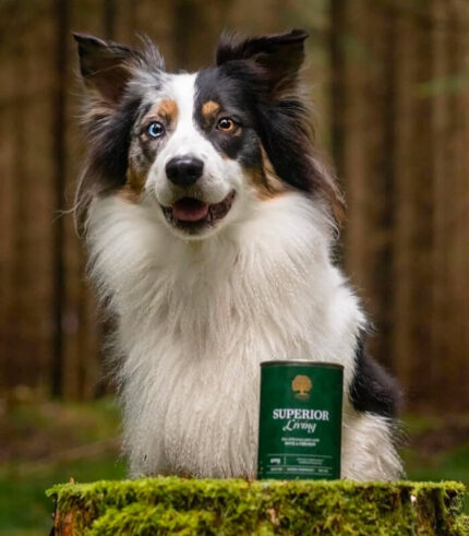 ESSENTIAL FOODS Superior Living Pâté - pašteta za pse sa pačetinom i piletinom