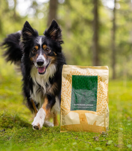 ESSENTIAL FOODS Superior Living Small Breed - grain free granule za odrasle pse malih rasa