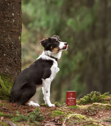 ESSENTIAL FOODS The Beginning Pâté - pašteta za štence sa pačetinom i piletinom