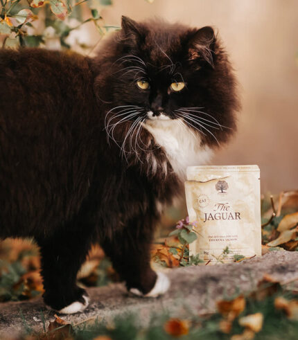 ESSENTIAL FOODS The Jaguar Pâté - pašteta za mačke sa piletinom i lososom u sosu