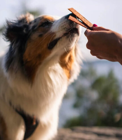 ESSENTIAL FOODS Turkey Delights - poslastice za pse sa 98% ćuretine