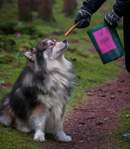 ESSENTIAL FOODS Wild Boar Delights - sušena koža divljeg vepra za pse