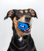 ROGZ Fred Treat Ball - interaktivna lopta za pse PLAVA