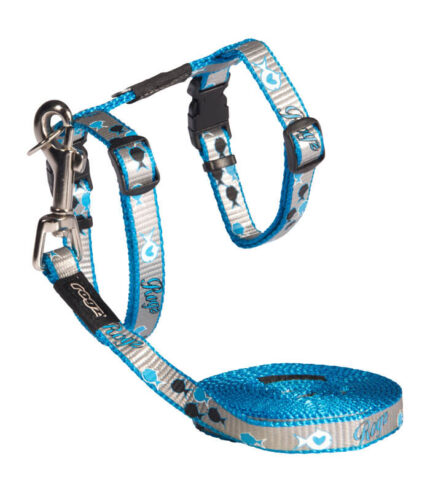 ROGZ am i povodac za mačke S (11 mm) plava