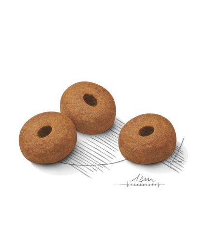 ROYAL CANIN Maxi Light Weight Care - hrana za pse velikih rasa sklone gojenju (26-44kg) 15+ meseci (3kg)