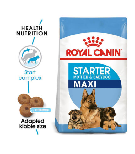 ROYAL CANIN Maxi Starter - hrana za štence i kuje velikih rasa (26-44kg) u graviditetu i laktaciji (4kg)