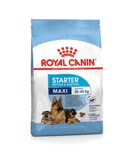 ROYAL CANIN Maxi Starter - hrana za štence i kuje velikih rasa (26-44kg) u graviditetu i laktaciji (4kg)