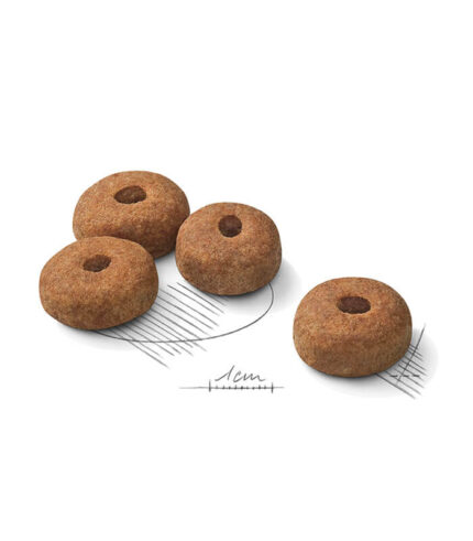 ROYAL CANIN Maxi Sterilised - hrana za sterilisane pse velikih rasa (26-44kg) 15+ meseci (3kg, 12kg)