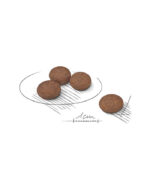 ROYAL CANIN Mini Digestive Care - hrana za male pse sa osetljivim varenjem (1-10kg) 10+ meseci (1kg, 3kg)