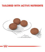 ROYAL CANIN Mini Digestive Care - hrana za male pse sa osetljivim varenjem (1-10kg) 10+ meseci (1kg, 3kg)