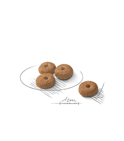 ROYAL CANIN Mini Sterilised - hrana za sterilisane male pse (1-10kg) 10+ meseci (1kg, 3kg)