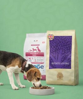 hrana za pse granule