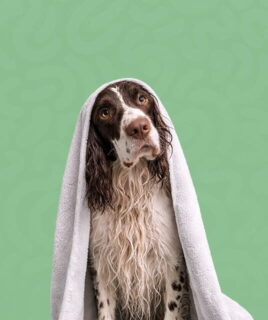 granule psi grooming