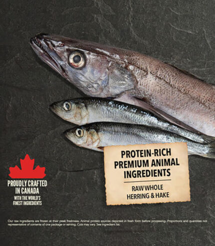 ACANA Classics Wild Coast - hrana za pse sa lososom i haringom (2kg, 9,7kg, 14,5kg)