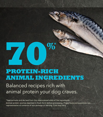 ACANA Regionals Pacifica - hrana za pse sa ribom (11,4kg)ACANA Regionals Pacifica - hrana za pse sa ribom (11,4kg)