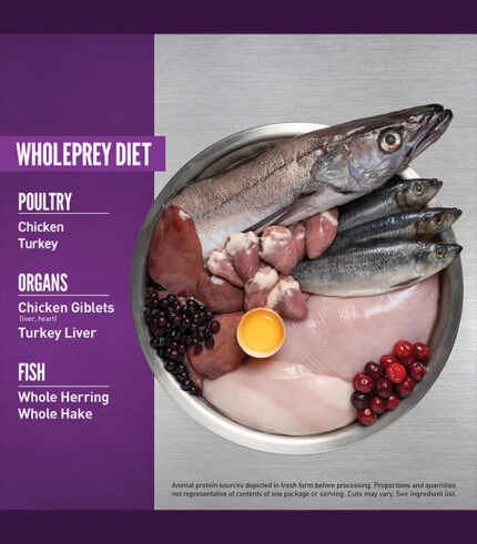 ORIJEN Puppy Large Breed - grain free hrana za štence velikih rasa sa piletinom, ćuretinom i ribom (11,4kg)