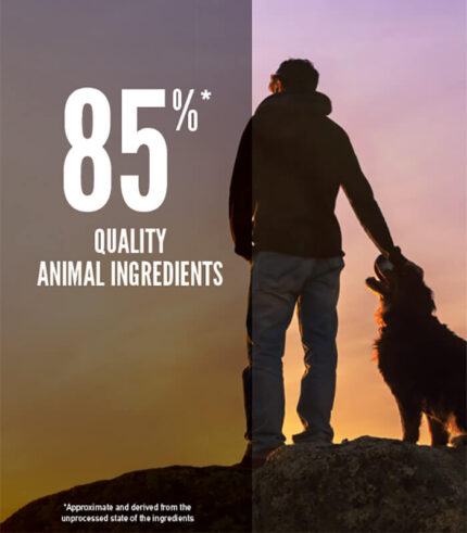 ORIJEN Regional Red - grain free hrana za pse sa govedinom, divljom svinjom, bizonom i jagnjetinom (2kg, 11,4kg)