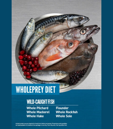 ORIJEN Six Fish - grain free hrana za pse sa ribom svih rasa i uzrasta (2kg, 11,4kg)